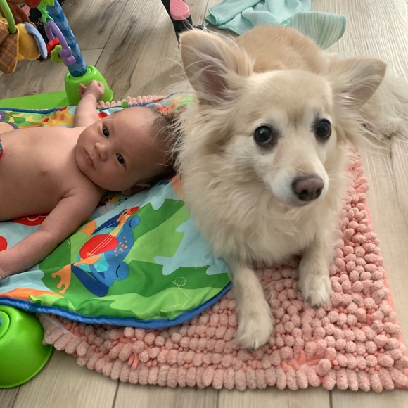 I have a love for rescuing animals and being a mom - Picture 9 of 9